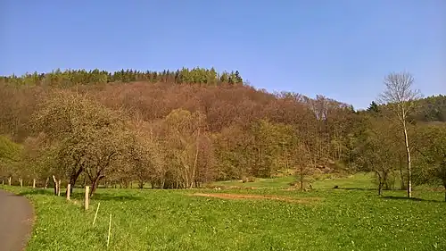 Общий вид горы Ренберг