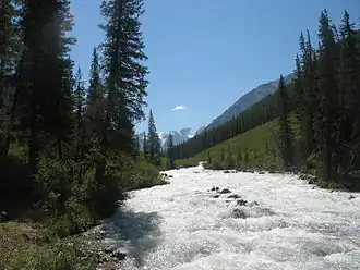 Шавла на участке от слияния с р. Левая Шавла до устья р. Ештыкол