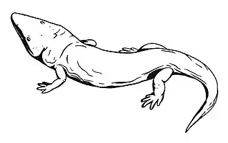 Реконструкция внешнего вида