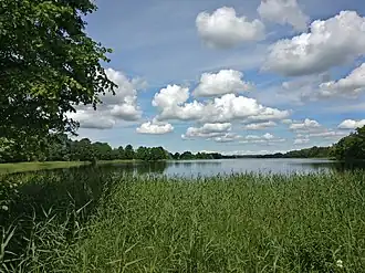 Вид на озеро с южного берега летом 2017 года