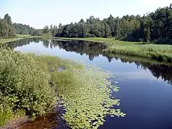 Река Перетна вблизи истока летом 2010 года