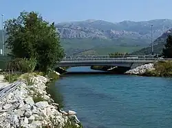 Жрновница близ устья