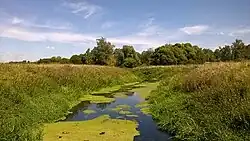 Брынь рядом с городом Сухиничи
