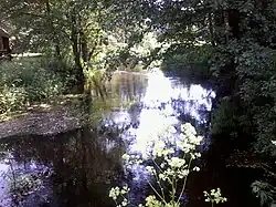 Река Страча на территории национального парка «Нарочанский» летом 2012 года