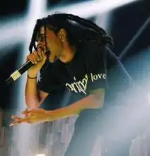 Robb Banks выступает на Summerfest в 2015