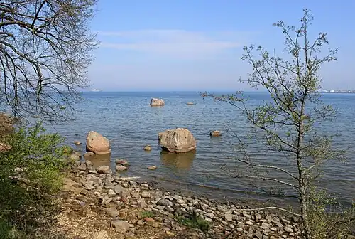 Побережье Таллинского залива в Рокка-аль-Маре