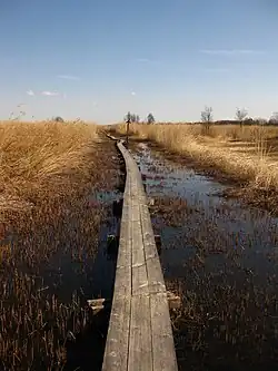 Дощатая дорога в море Сутлепа