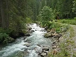 Верхнее течение реки летом 2014 года.