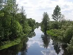 Воймега в городе Рошаль