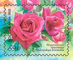 Феодосийская красавица