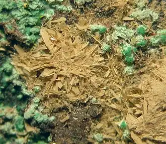 Рёзерфордин из шахты Мусоной, Колвези, Демократическая Республика Конго (поле зрения — 7 мм)