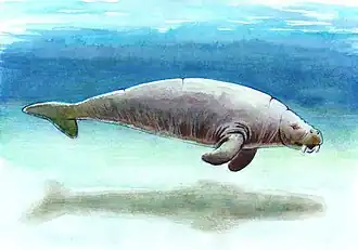 Реконструкция Rytiodus sp.