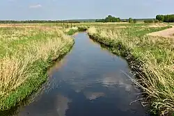 Нетупа в Польше