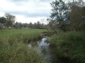 Мызный парк в августе