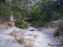 Сенанколь между Сенанком и деревней Бори (Горд)