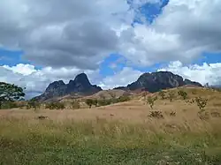 Открытая саванна летом