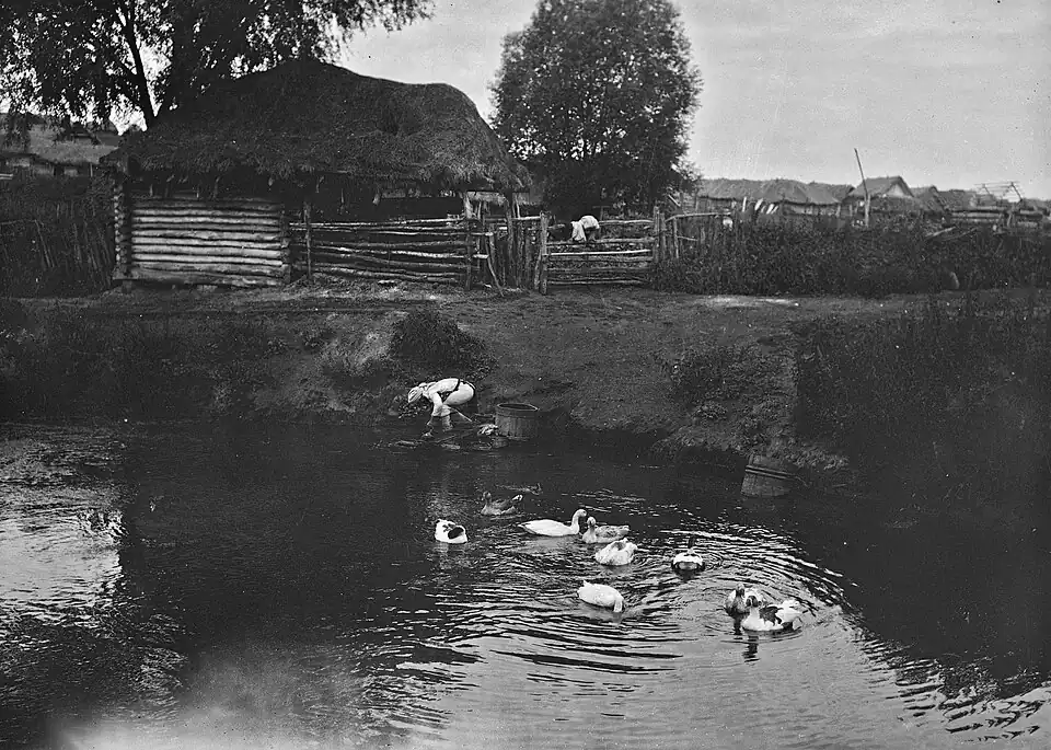 Эрзянская женщина стирает белье на берегу реки.