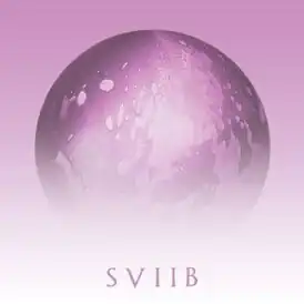 Обложка альбома School of Seven Bells «SVIIB» ()