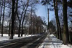 Улица Садовая