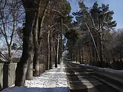 Улица Садовая