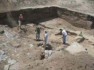 Самосдельское городище