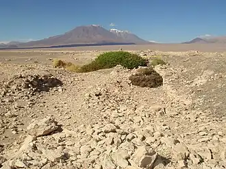 Вулканы Сан-Педро и Сан-Пабло