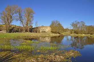 Сан-Пелайо-де-Гварения
