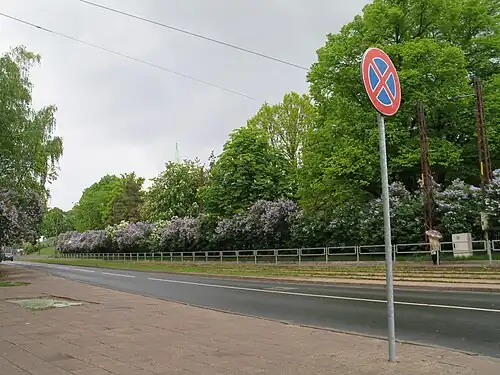 Вид вдоль парка Саркандаугавас