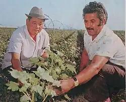 Ф. М. Саттаров и председатель колхоза «Северный маяк» А. В. Ни