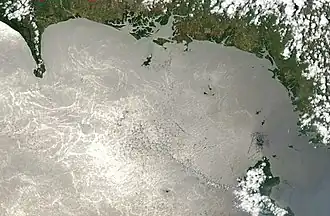 Вид на залив Чирики с орбиты в марте 2003 г.