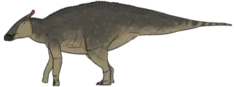 Saurolophus