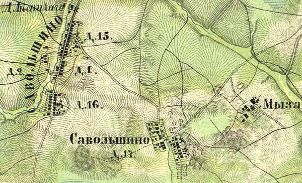 План деревни Савольщина. 1860 год