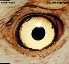 Обложка сингла Red Hot Chili Peppers «Scar Tissue» (1999)