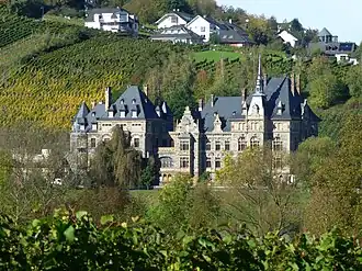 Вид замка на фоне виноградников