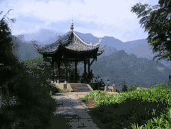 Иллюстрация мерцательной скотомы почти спиральной формы, которая искажает объекты, но смещается к периферии подобно слепому пятну.