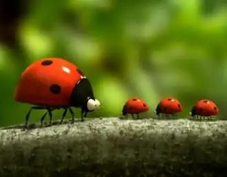 Божья коровка со своим потомством