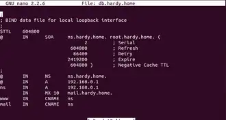 Скриншот файла зоны, открытого в редакторе nano