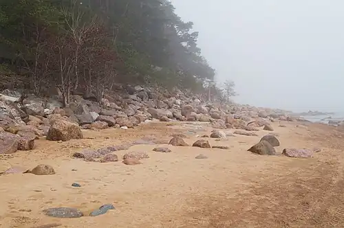 Берегоукрепление от штормов. Побережье Финского залива, пос. Солнечное