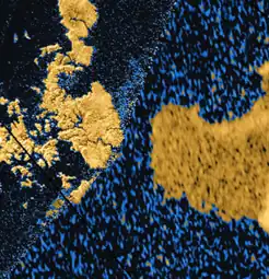 Пролив Селдона (Мир (Земля))