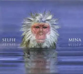 Обложка альбома Мины «Selfie» (2014)