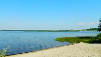 Вид на северную часть озера Селява около деревни Клишино летом 2015 года