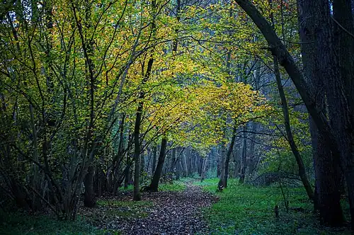 Пешеходная тропа Андре Векмана