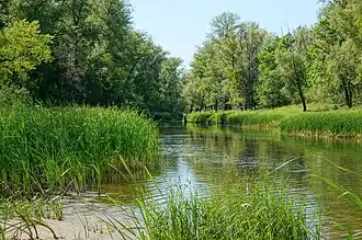 Заповедный волжский остров Серёдыш