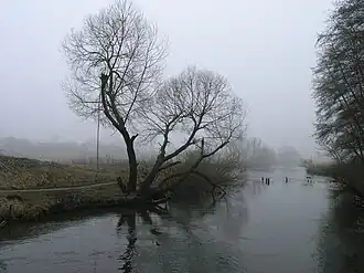 Река Серет близ Тернополя