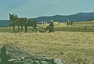 Серрадилья-дель-Льяно