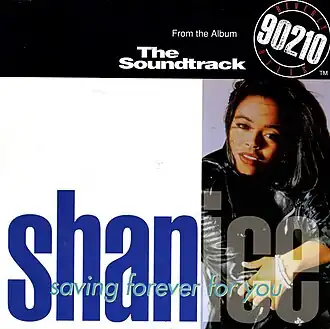 Обложка сингла Шанис «Saving Forever for You» (1992)