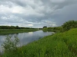 Струпенка у места впадения в Шелонь