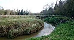 Река Шередарь около деревни Хмелево весной 2020 года