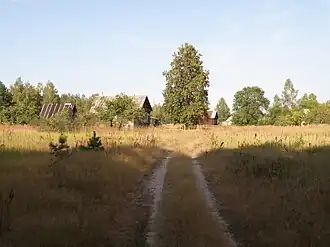 Деревня Шестимирово (Бычки)