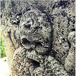 Голова Адама